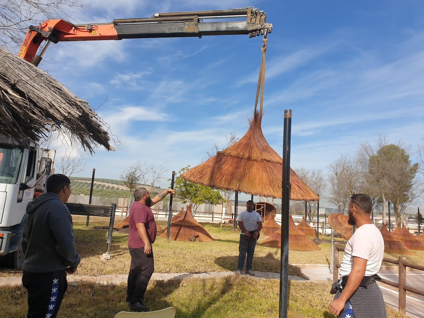 Jardineria Todoarbol 3