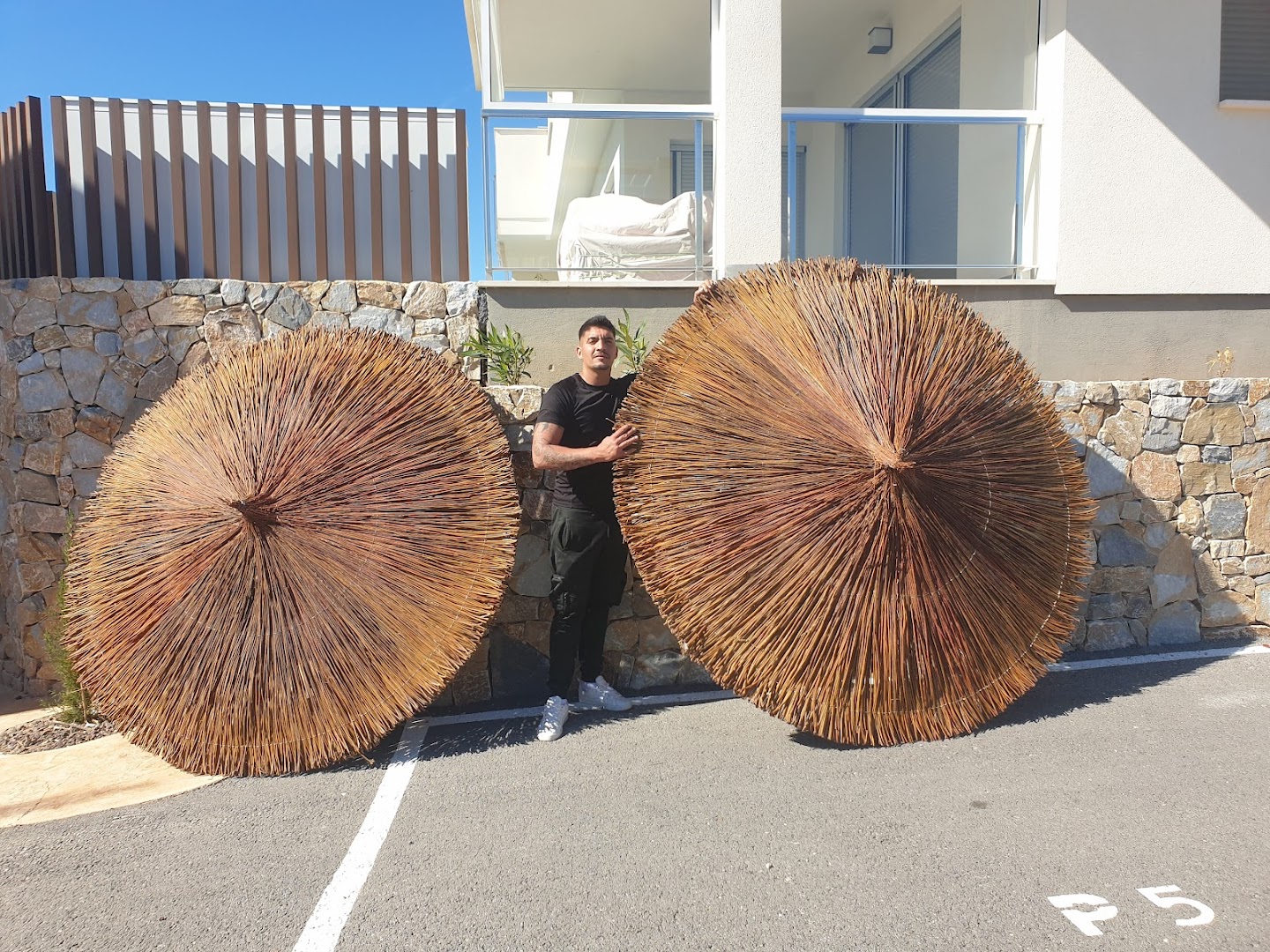 Jardineria Todoarbol 6