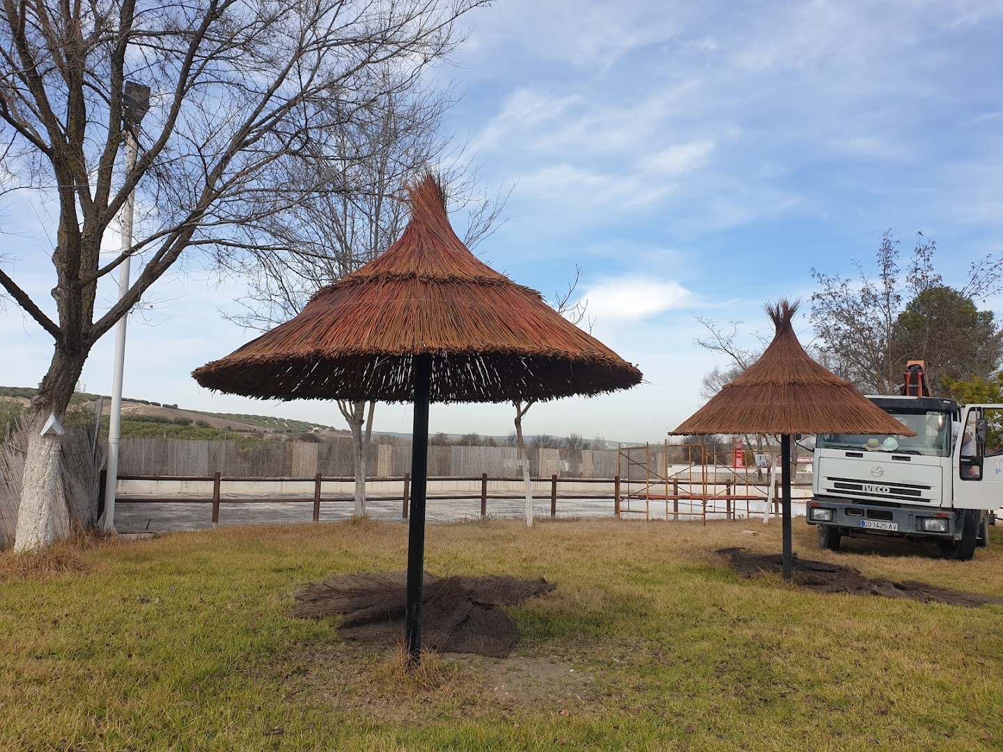 Jardineria Todoarbol 2