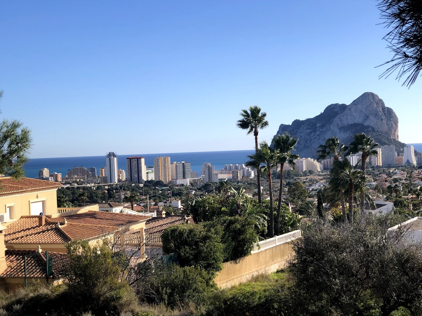 Jardineria Todoarbol 5