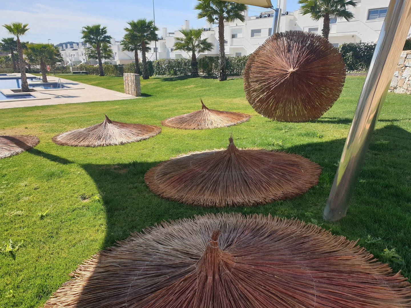 Jardineria Todoarbol 4