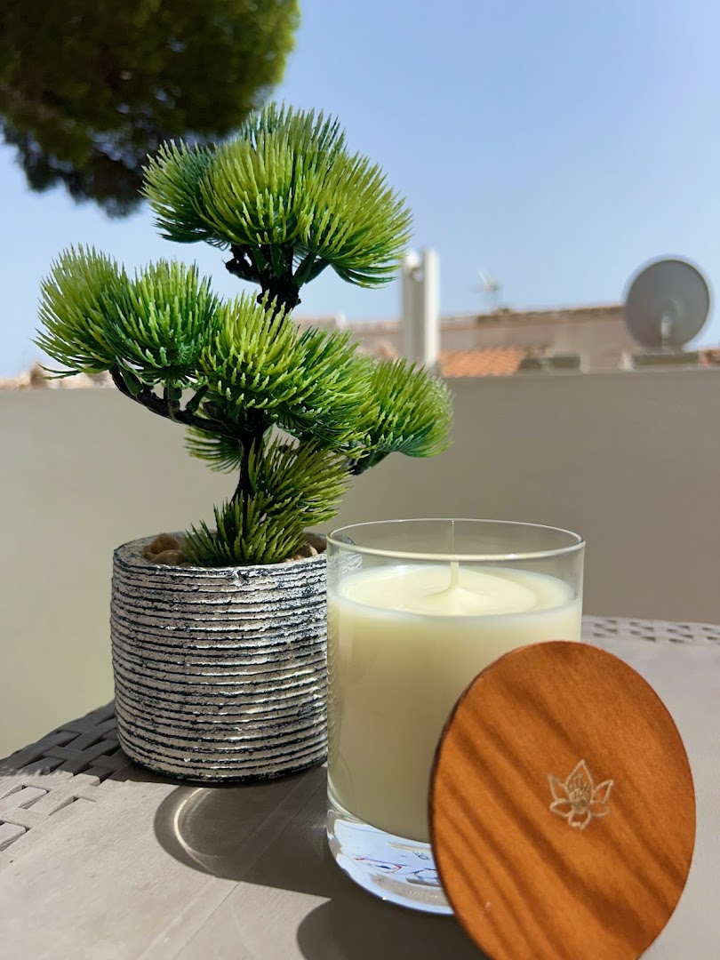 Tu oasis del hogar 6