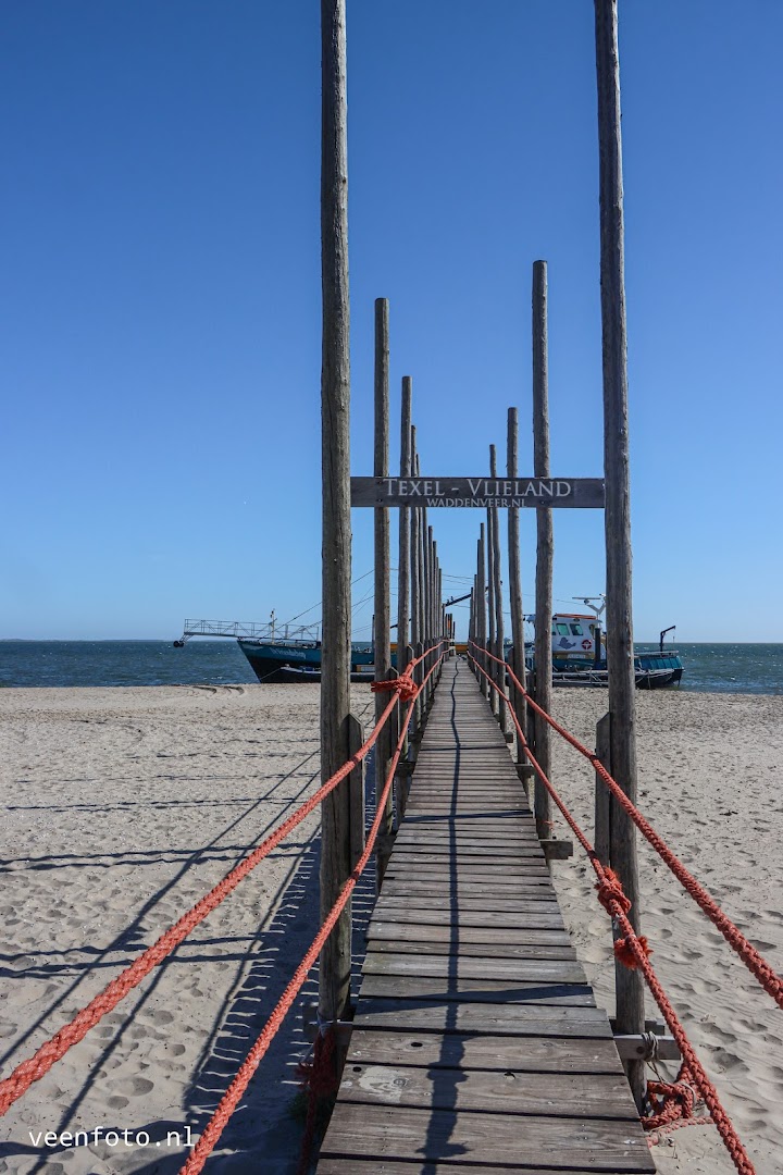 Robbentocht van Texel naar Vlieland 5