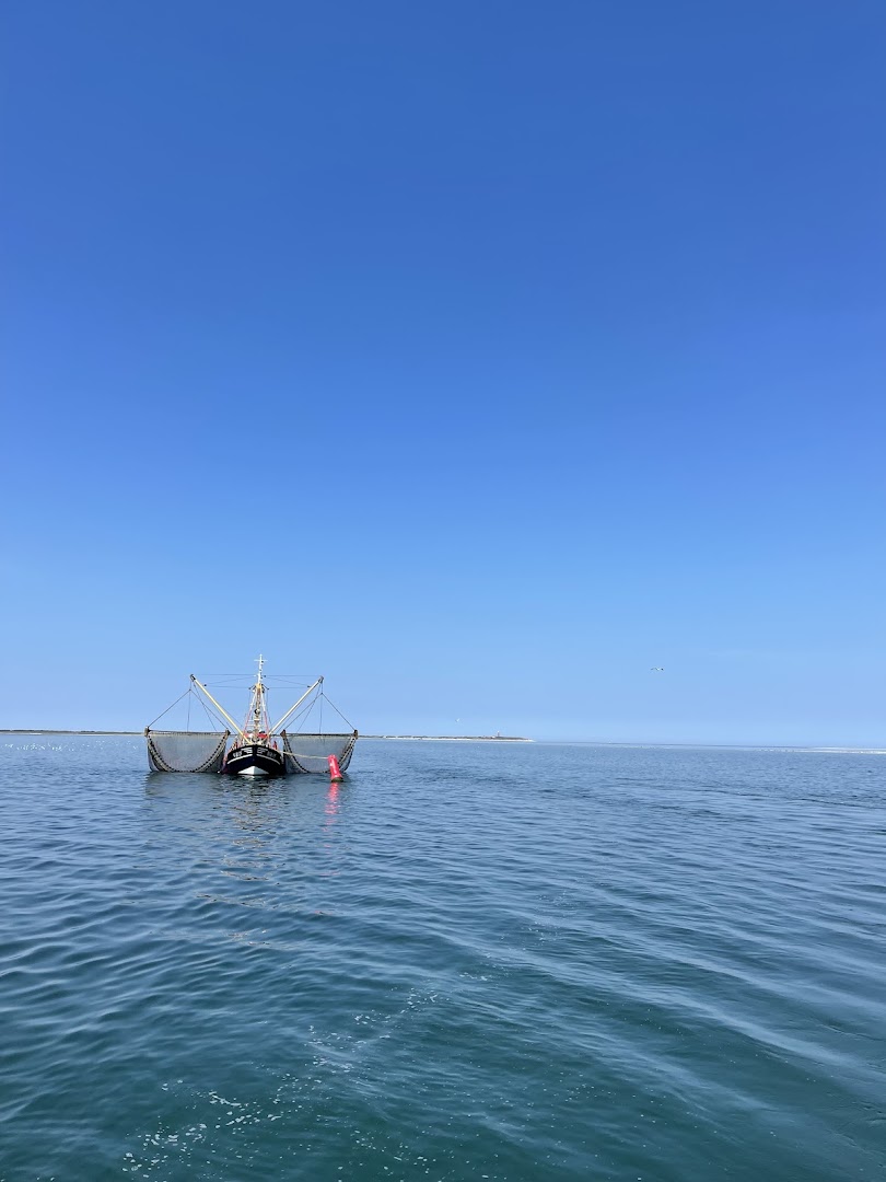 Robbentocht van Texel naar Vlieland 9